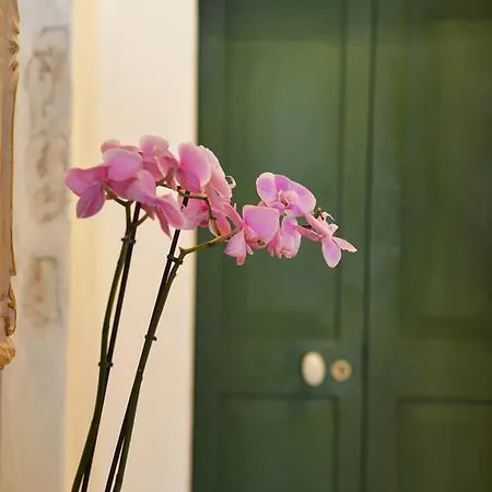 Frühstückspension La Terrazza Di Vico Olivi